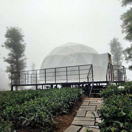 Vythiri Tea Valley I Best Hotel In Wayanad L Hotels In Vythiri Wayanad Luaran gambar