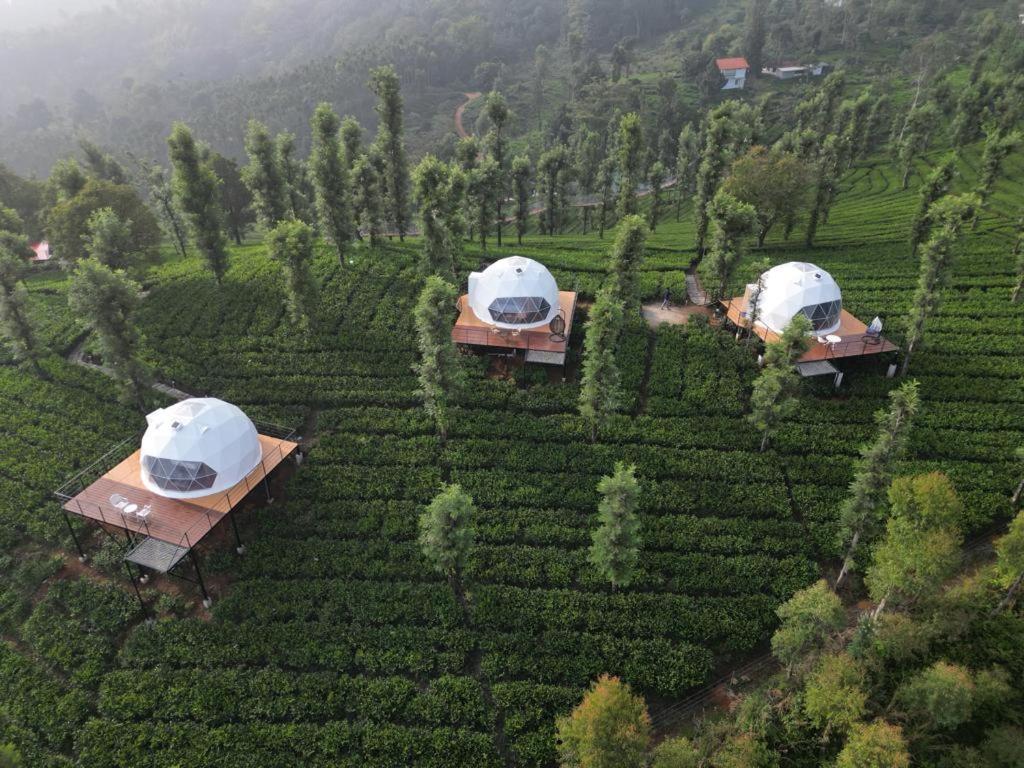 Vythiri Tea Valley I Best Hotel In Wayanad L Hotels In Vythiri Wayanad Luaran gambar