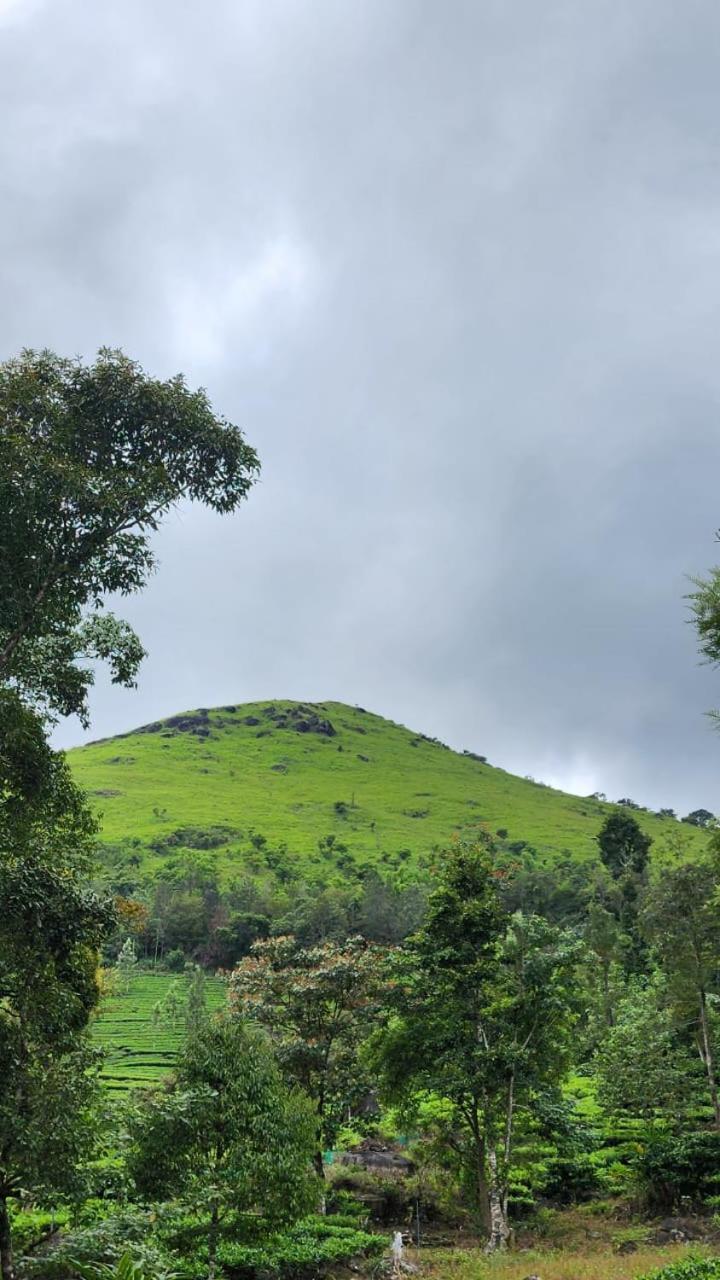Vythiri Tea Valley I Best Hotel In Wayanad L Hotels In Vythiri Wayanad Luaran gambar