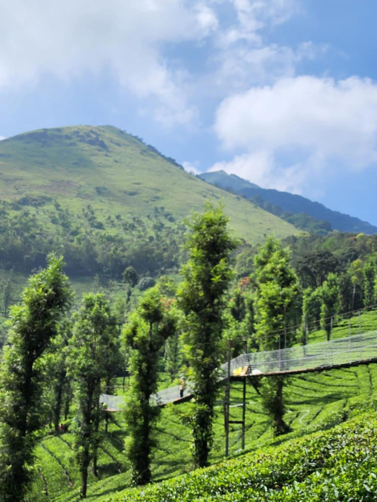 Vythiri Tea Valley I Best Hotel In Wayanad L Hotels In Vythiri Wayanad Luaran gambar