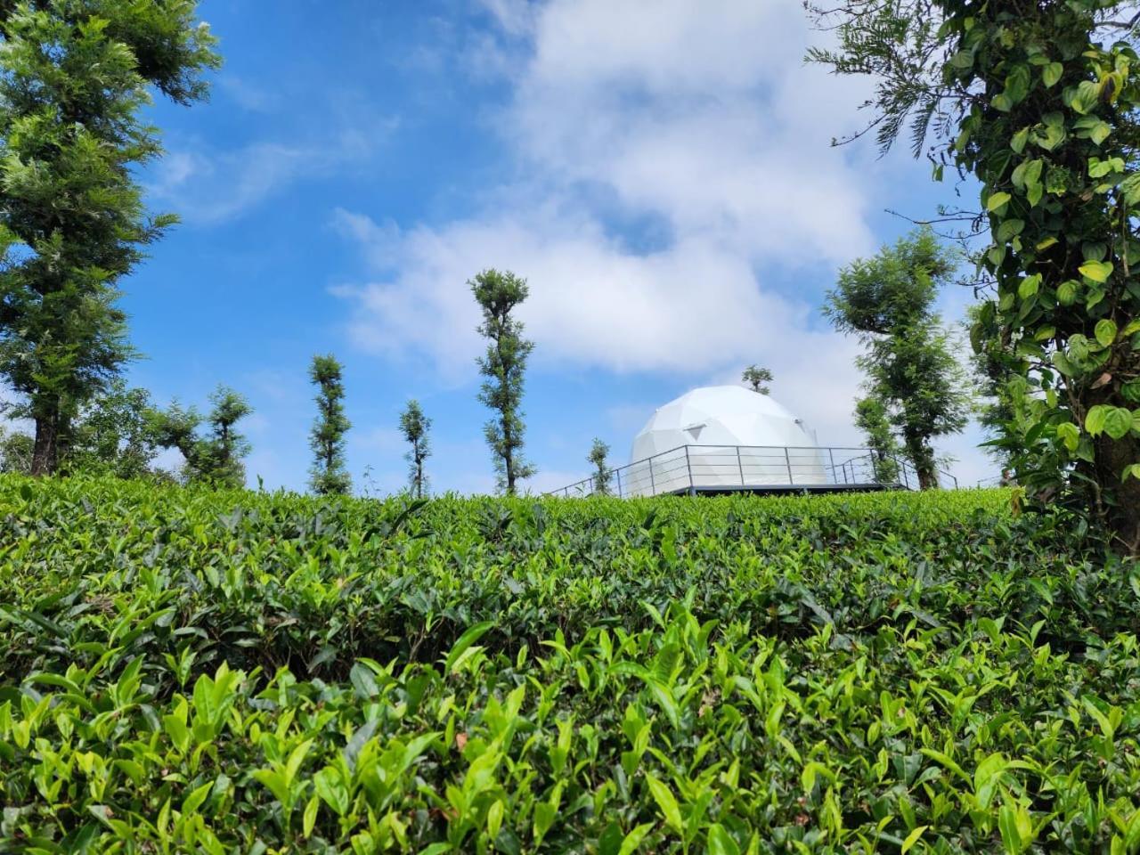 Vythiri Tea Valley I Best Hotel In Wayanad L Hotels In Vythiri Wayanad Luaran gambar