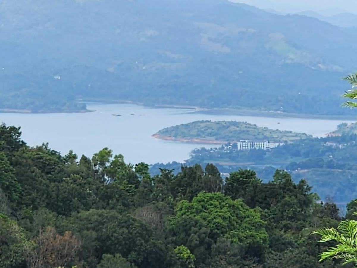 Vythiri Tea Valley I Best Hotel In Wayanad L Hotels In Vythiri Wayanad Luaran gambar