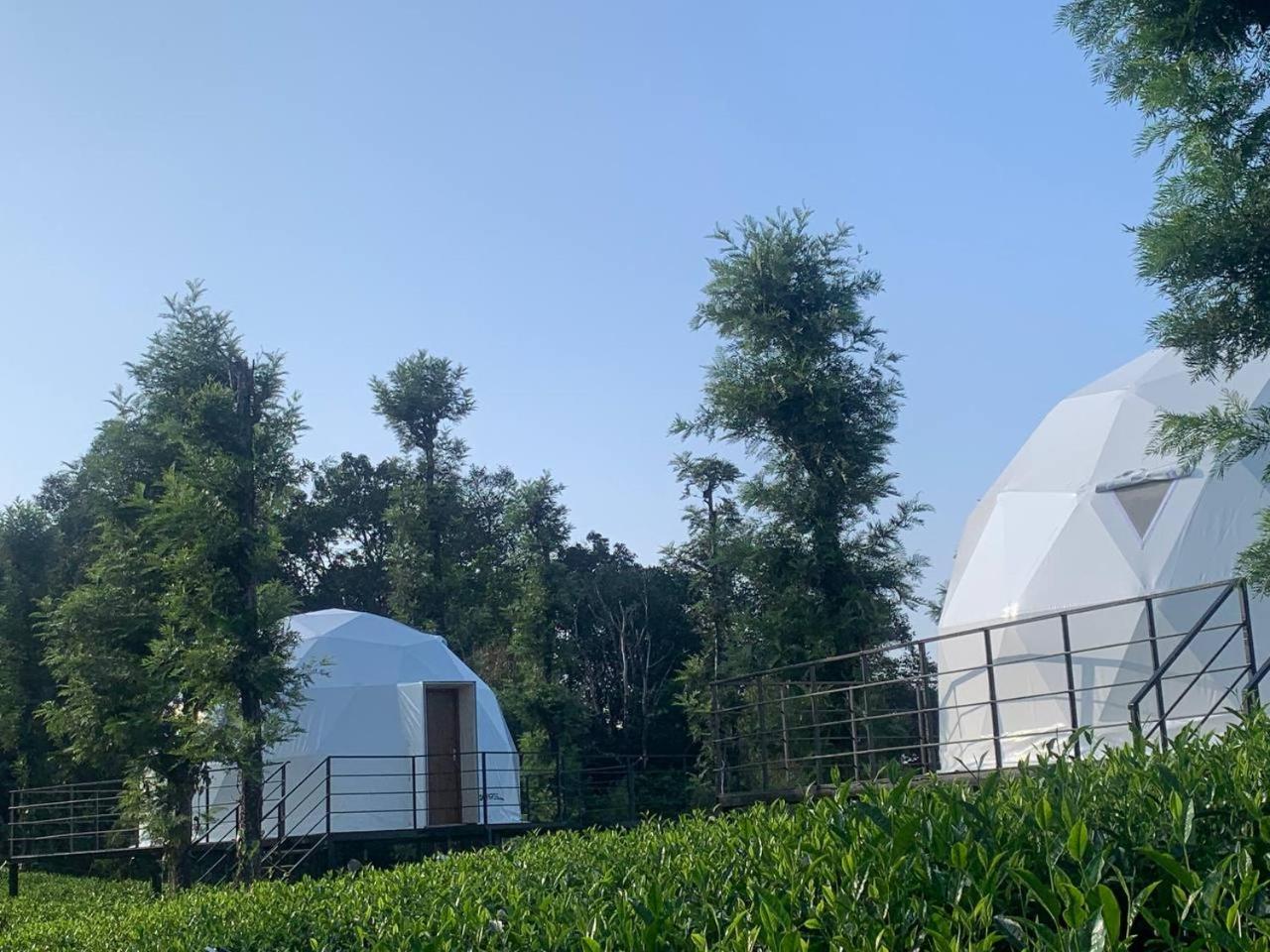 Vythiri Tea Valley I Best Hotel In Wayanad L Hotels In Vythiri Wayanad Luaran gambar